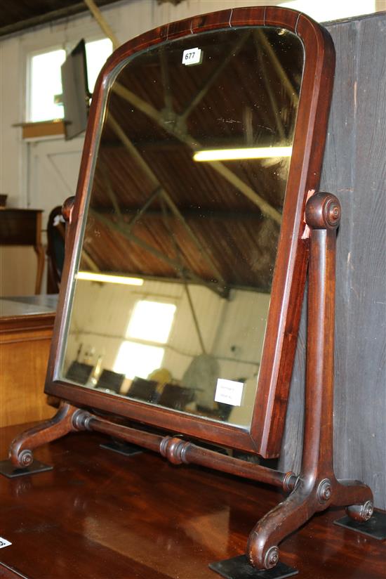 Mahogany skeleton framed toilet mirror